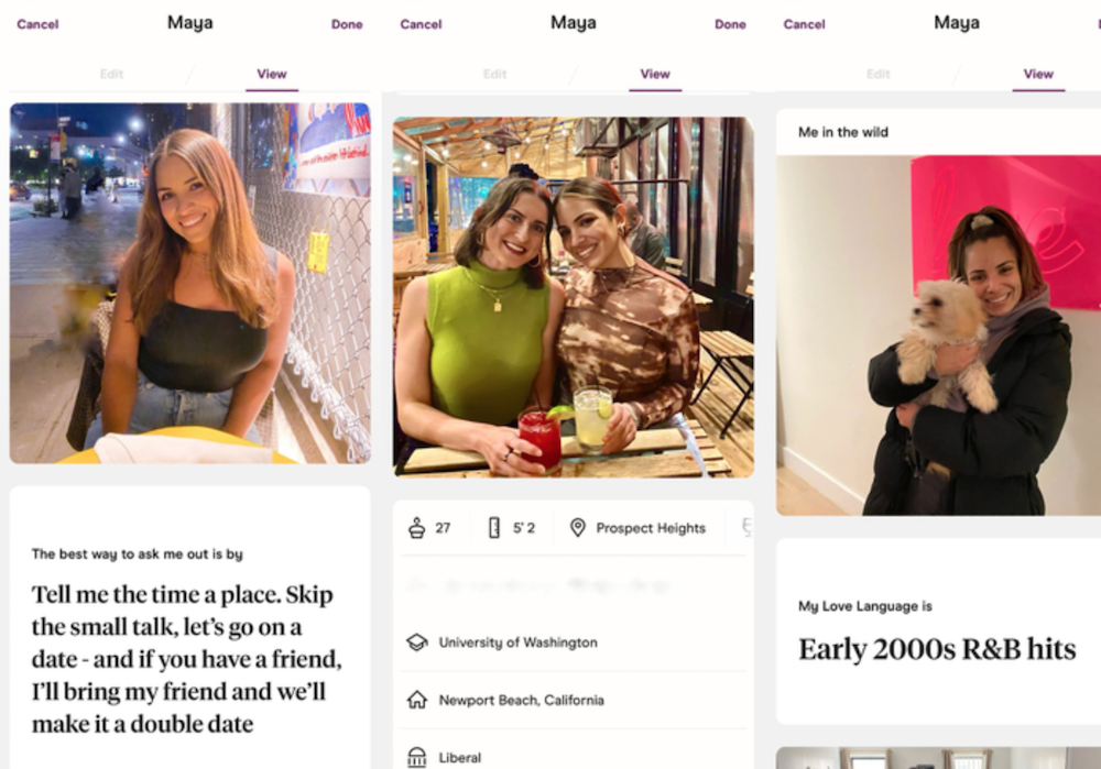 hinge profile examples
